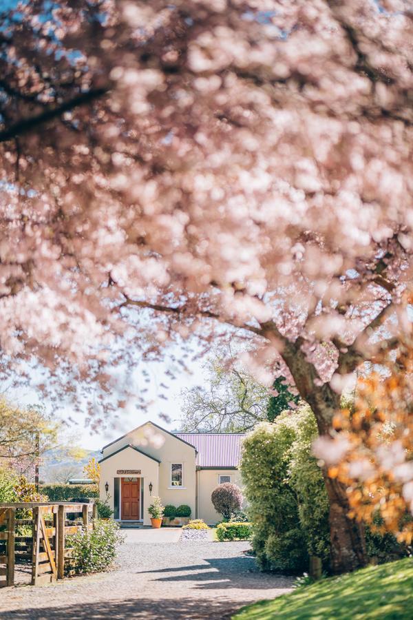 Lexington Park Cottages Cambridge Exterior foto